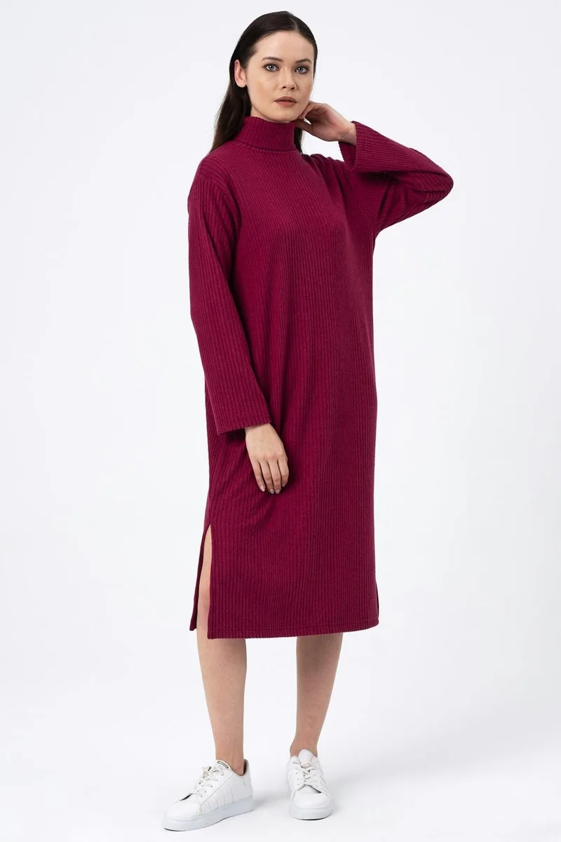 الكسندر جاردي Ribbed Turtleneck Dress