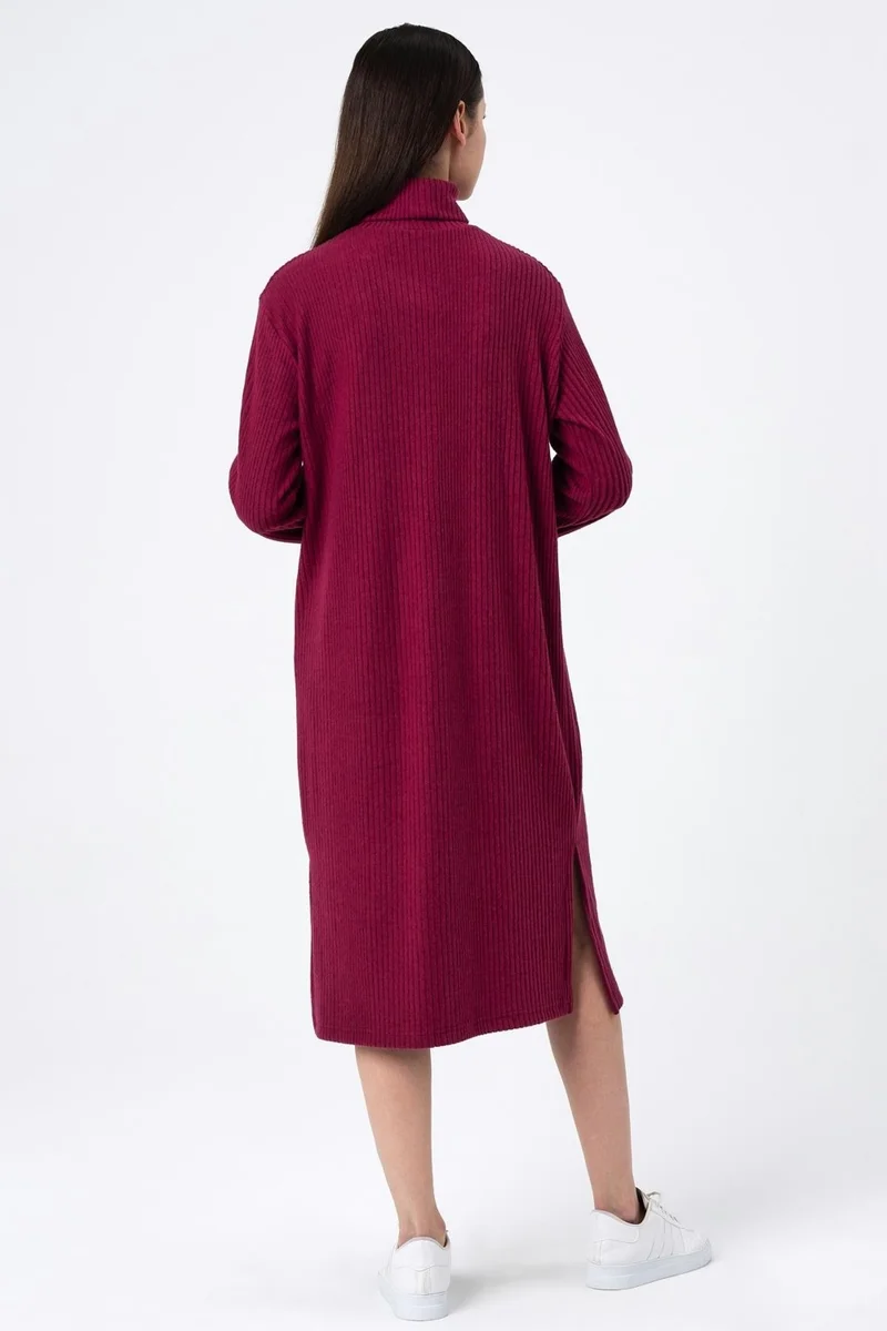 الكسندر جاردي Ribbed Turtleneck Dress