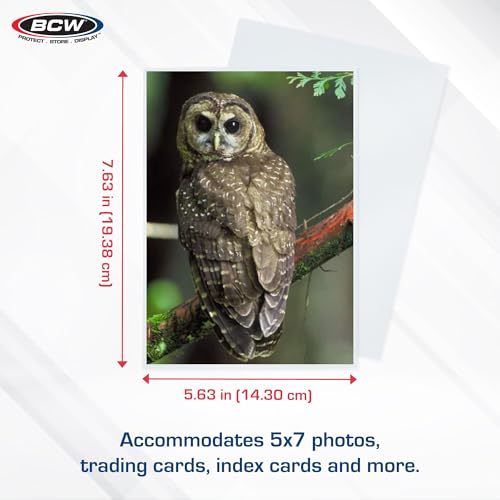 BCW 5x7 Photo Sleeves - 100 ct - Acid Free, No PVC | for Photo Books and Storage | Clear Plastic | Fits Sheet Protectors and Toploaders | Archival Quality - Image 3