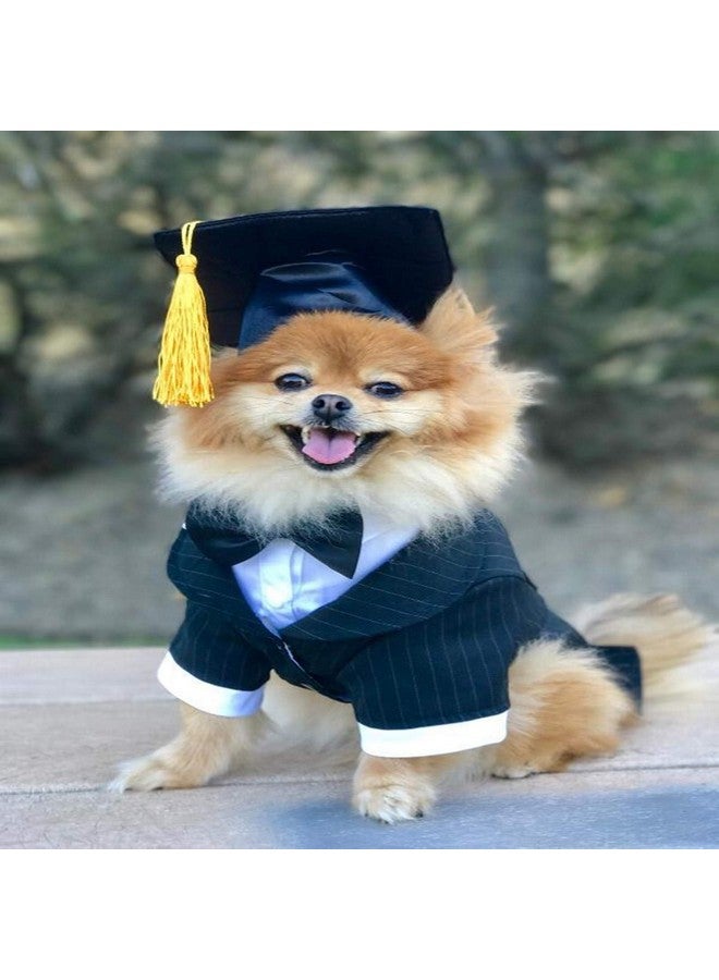 Soochat Pet Graduation Caps Dog and Cats Graduation Hats with Yellow Tasselt for Graduation Holiday Party Pet Costume Accessory - Image 2