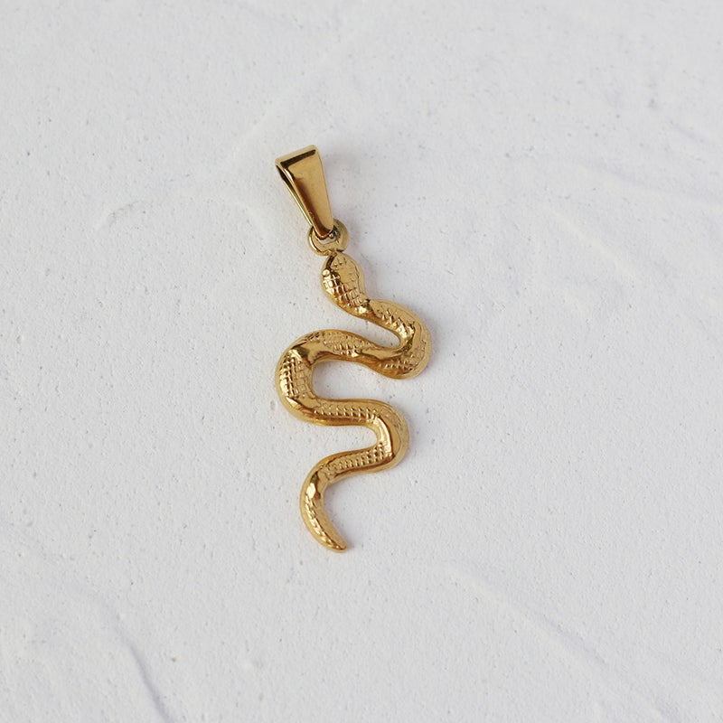 Generic L-Series Pendant Serpentine Rose Coin Clasp Necklace L15 S-type spirit snake 