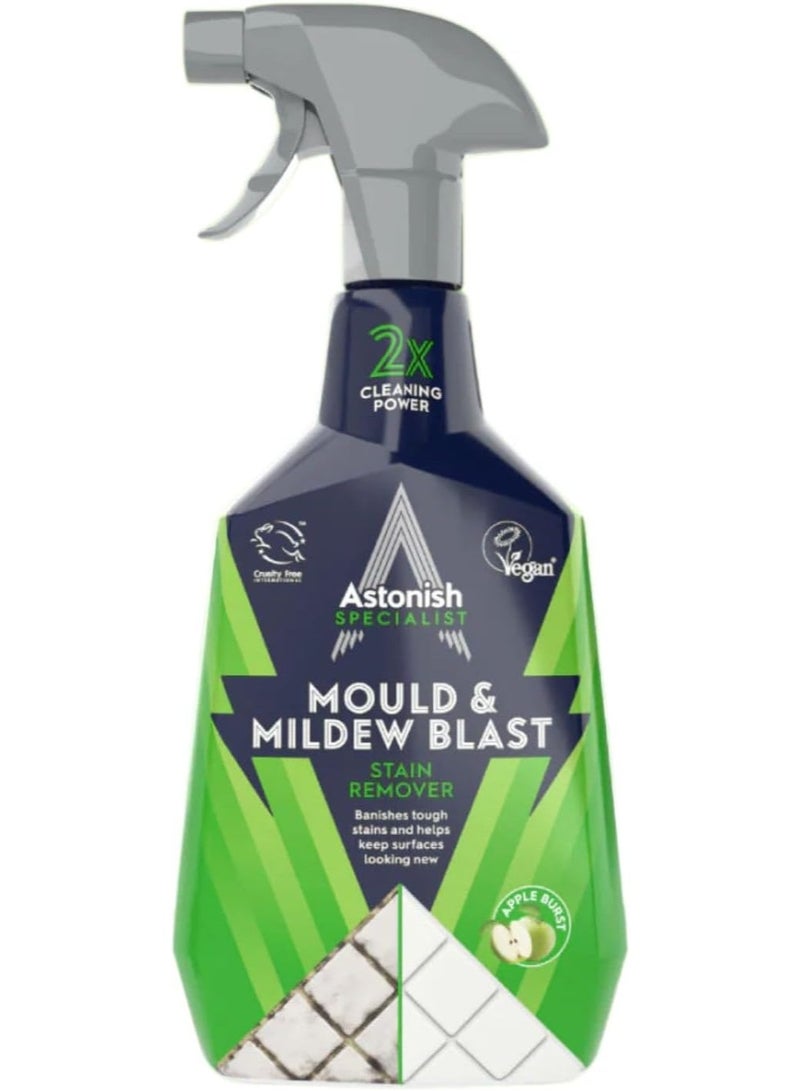 Astonish Bathroom Cleaner 750 ml + Mould Blast Stain Remover 750 ml - Image 5