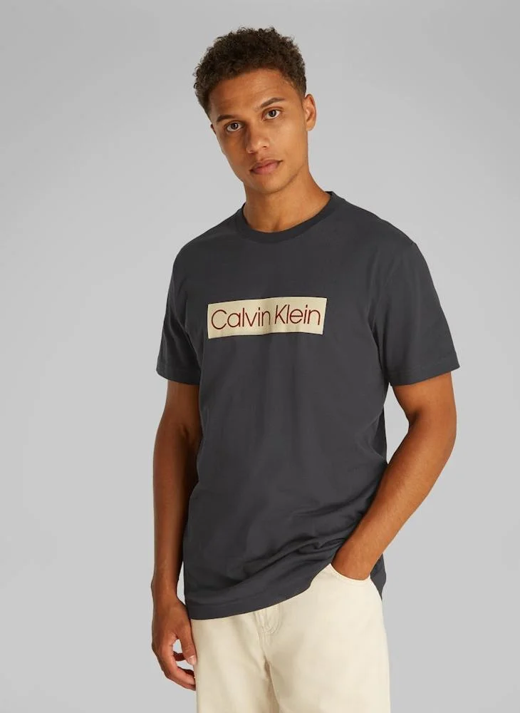 Calvin Klein Jeans Logo Crew Neck T-Shirt