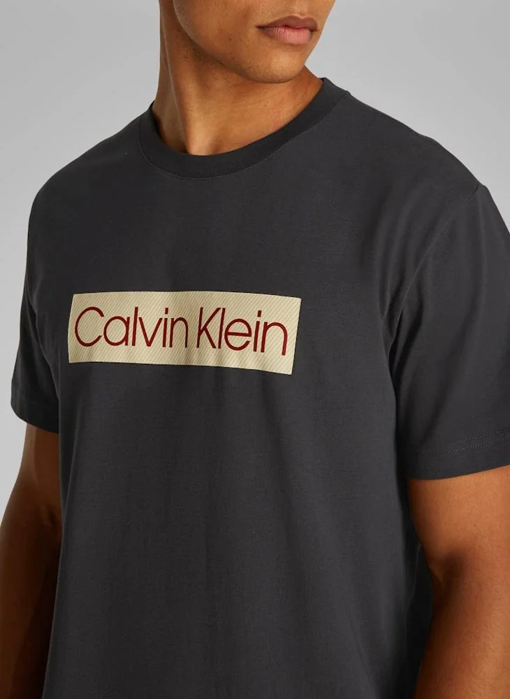 Calvin Klein Jeans Calvin Klein Label Print T-Shirt