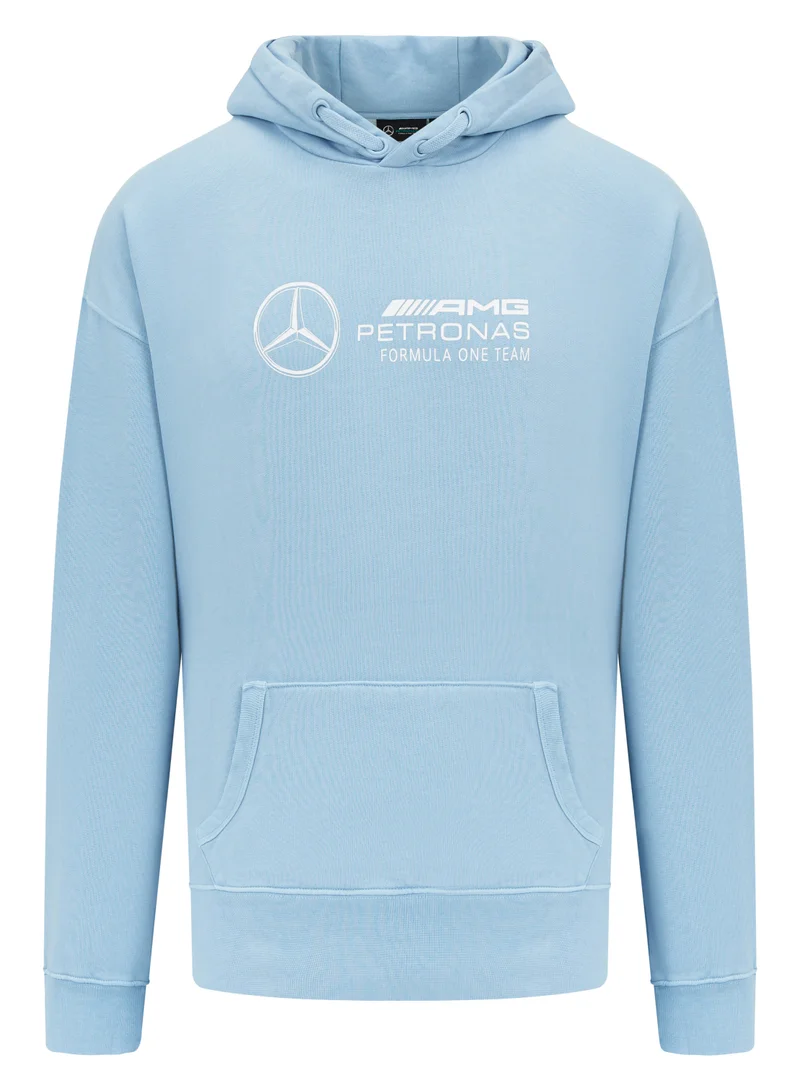 AMG Petronas Formula 1 Team  Mercedes-AMG Retro Hoodie for Men | Best Price UAE