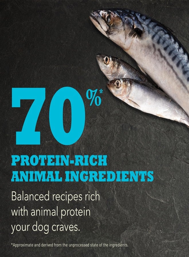 (أسنى) طعام الكلاب الجاف ACANA عالي البروتين والخالي من الحبوب، وصفة وايلد أتلانتيك، عبوة 4.5 رطل - Image 4