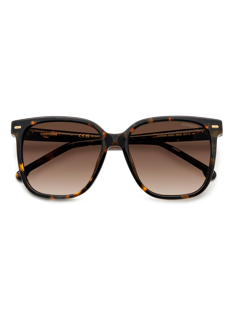 Carrera - SQUARE CARRERA Sunglasses - Image 1