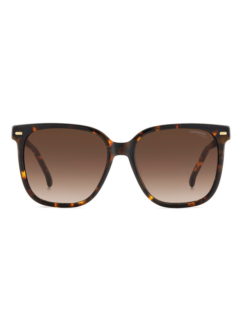 Carrera - SQUARE CARRERA Sunglasses - Image 1