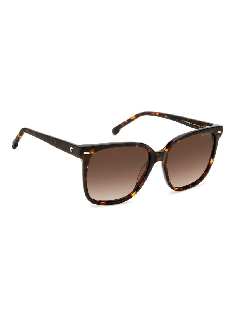 Carrera - SQUARE CARRERA Sunglasses - Image 1