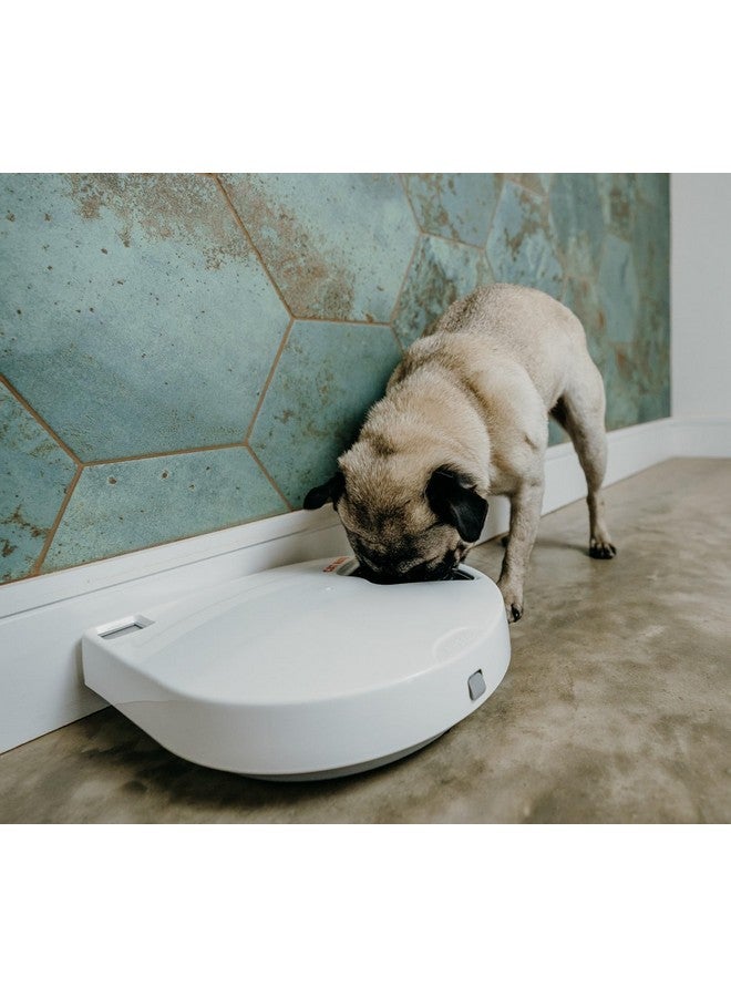 Cat Mate C500  5 Meal Digital Automatic Feeder With Ice Packs For Cats And Small Dogs - Image 4