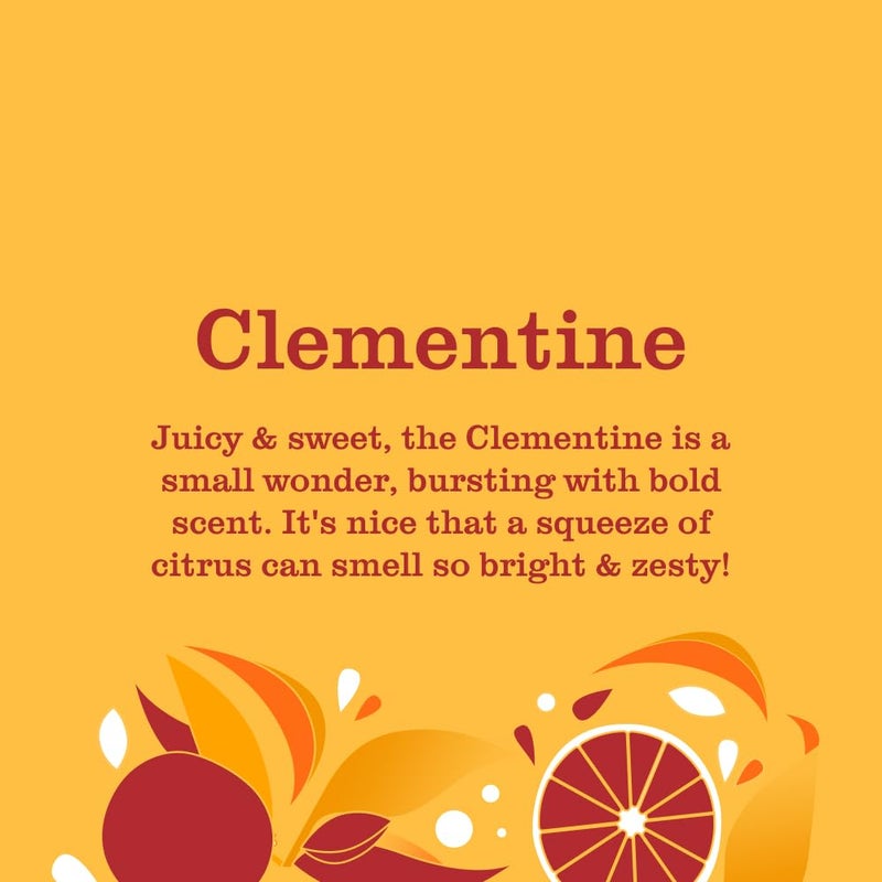 Mrs. MEYER'S Clean Day Multi-Surface Everyday Cleaner, Clementine Scent - Image 2