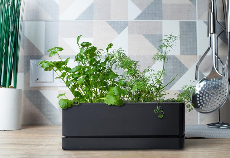 D'vine Dev 12 Inch Window Box Planter, Rectangle Plastic Herb Planter with Drainage Holes and Saucer, Indoor Succulent Cactus Vegetable Pot for Windowsill, Garden Balcony, Black, Set of 2, 76-X-B-2 - Image 3