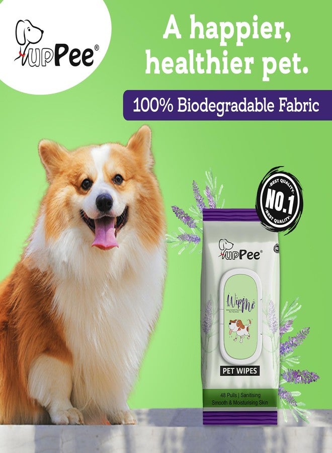PUPPEE مناديل PUPPEE Wipe ME المبللة، قابلة للتحلل الحيوي بنسبة 100%، 96 منديل (عبوتان)، للكلاب والقطط وجميع الحيوانات الأليفة | برائحة اللافندر الأساسية وفيتامين E وزيت الزيتون | مضادة للبكتيريا | مناديل للتنظيف وإزالة الروائح الكريهة والعناية - Image 4