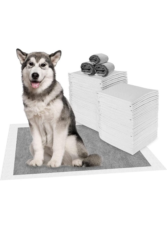 Mumoo Bear Carbon Large Puppy Training Pads Pack of 40, Super Absorbent Dog Pads, Odour Control Dog Pee Pad, Leak-Proof Disposable Fast Drying Pet Pads for Toilet, Training - 60 x 60cm - pzsku/Z81B89EADC25220D45B23Z/45/_/1727437893/815900bb-82bf-4764-9b46-3e4a08817b69