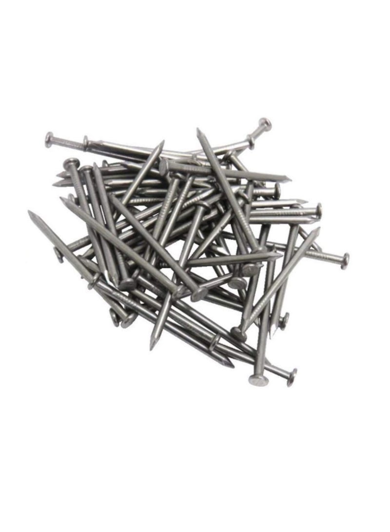 High Strength Round Head Nails For Carpentry Hardware Electrical Etc (300, 2 1/2 inch) - Image 2