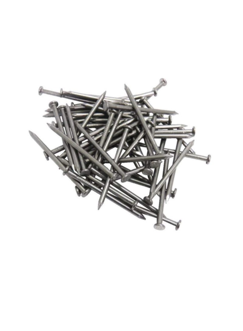 High Strength Round Head Nails For Carpentry Hardware Electrical Etc (300, 2 1/2 inch) - Image 3