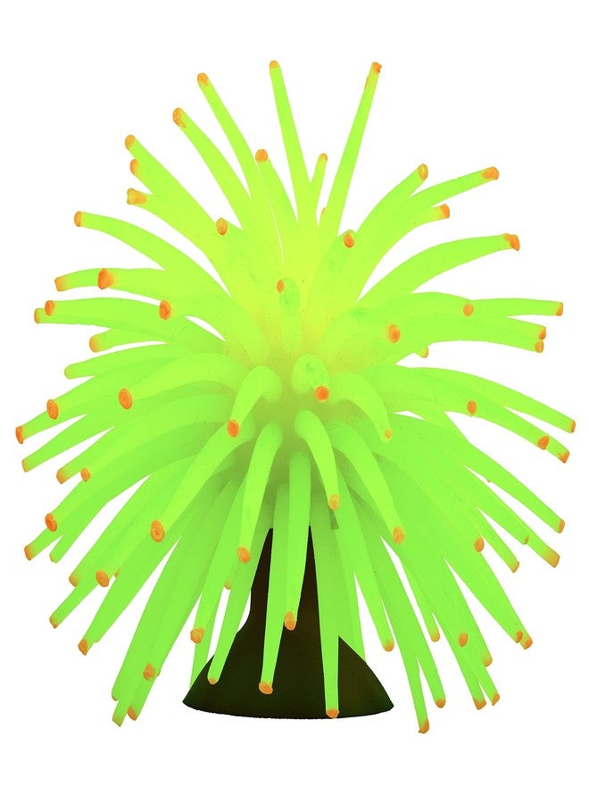 GloFish Detailed Aquarium Ornaments, Creates A Glowing Effect - Image 3