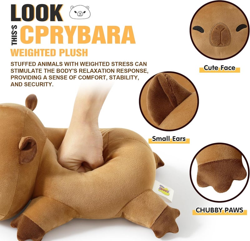 Onsoyours Original 9.8"|1.0 lbs Weighted Stuffed Animals, Cute Weighted Positive Capybara Plush Pillow Toy Soft Weighted Capybara Plushies Gift for Kids Adults - Image 4