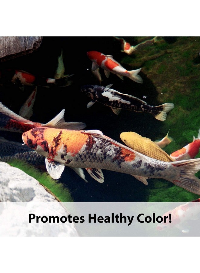 Kaytee Koi's Choice Koi Floating Fish Food, 10 Pound - Image 2