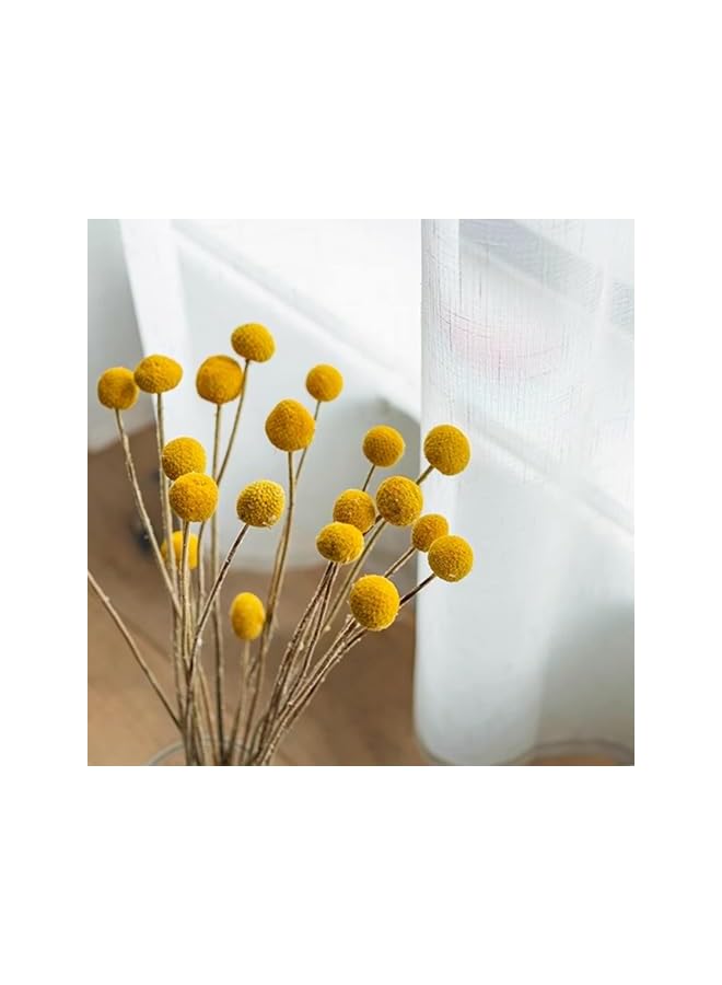 The Bros 20 PCS Natural Dried Flowers, Golden Balls Golden Hammer Flowers Dried Flower Bouquet, Floral Bouquet for Flower Arrangement Wedding Home Tall Vase Decoration, Craspedia Billy Balls Flowers - Image 4