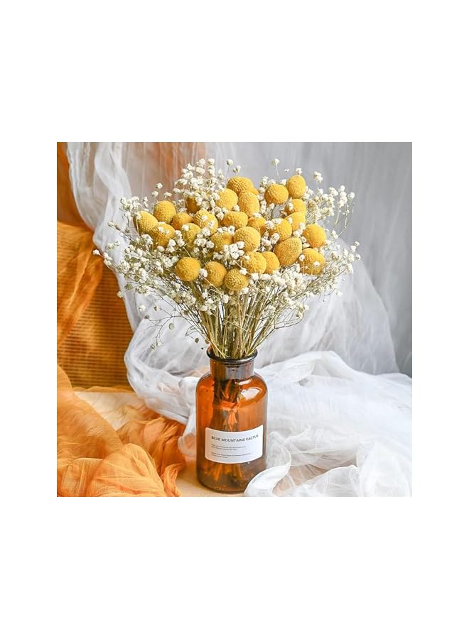 The Bros 20 PCS Natural Dried Flowers, Golden Balls Golden Hammer Flowers Dried Flower Bouquet, Floral Bouquet for Flower Arrangement Wedding Home Tall Vase Decoration, Craspedia Billy Balls Flowers - Image 5