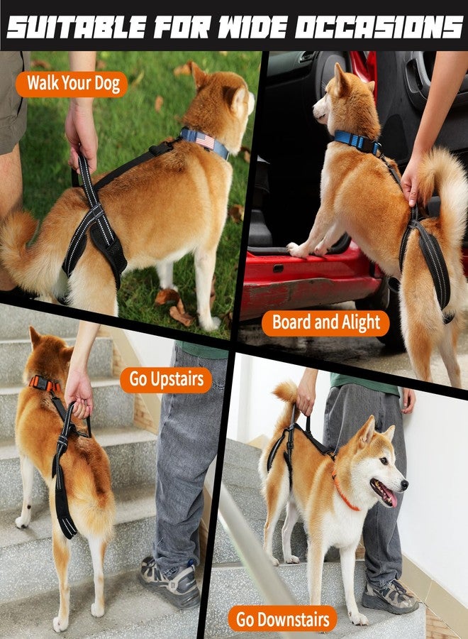 ROZKITCH Pet Dog Support Harness Rear Lifting Harness for Back Legs Reflective Dog Sling Vet Approved for Old Helps with Poor Stability Hind Legs, Joint Injuries Elderly Arthritis ACL Rehab Black S - Image 2