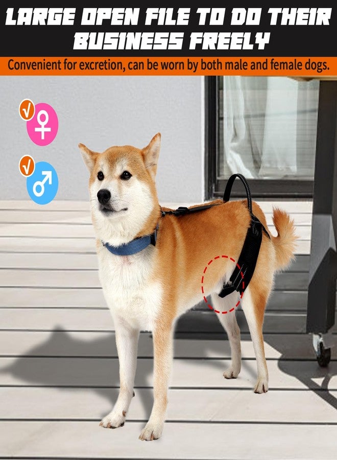 ROZKITCH Pet Dog Support Harness Rear Lifting Harness for Back Legs Reflective Dog Sling Vet Approved for Old Helps with Poor Stability Hind Legs, Joint Injuries Elderly Arthritis ACL Rehab Black S - Image 3