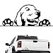 Murimt Murim Funny Golden Retriever Smile Peeking Car Sticker Vinyl Waterproof Decal Truck Motorcycle Laptop Decal Cute Golden Retriever Dog Sticker Black - Image 2