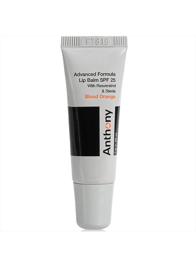 Anthony 25 SPF Lip Balm with Sunscreen for Lips – Contains Green Tea Extract, Shea Butter & Vitamin E – Moisturizing Repair Care Treatment for Chapped & Dry Lips – Mint & White Tea Flavor - Image 1