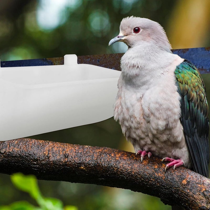 VOSAREA 5pcs White Thickened Pigeon Food Box Bird Feeding Trough Sturdy Pigeon Cage Supplies for Parrot and Feeding - Image 4