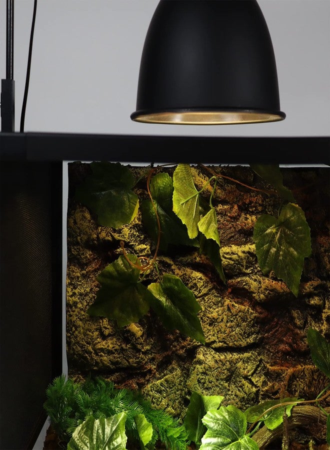 Aiicioo UVB Reptile Light 80W - UVB Light Bulb for Reptile Mercucry Vapor Bulb Heat Basking Lamp Bulb Full Spectrum UVA UVB All in One Sun Lamp for Bearded Dragon Lizard Turtle - Image 4