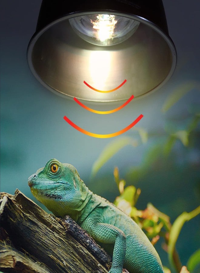 Aiicioo UVB Reptile Light 80W - UVB Light Bulb for Reptile Mercucry Vapor Bulb Heat Basking Lamp Bulb Full Spectrum UVA UVB All in One Sun Lamp for Bearded Dragon Lizard Turtle - Image 3