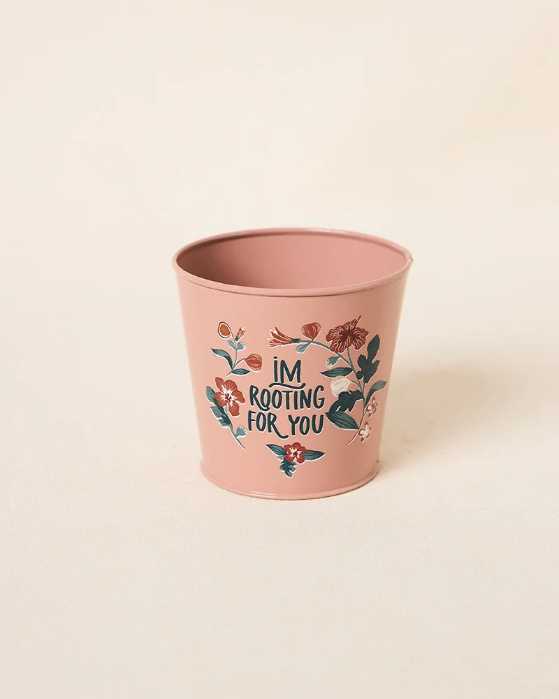 تشامباك زهرة برية أصيص معدني | ضائع في الجنة