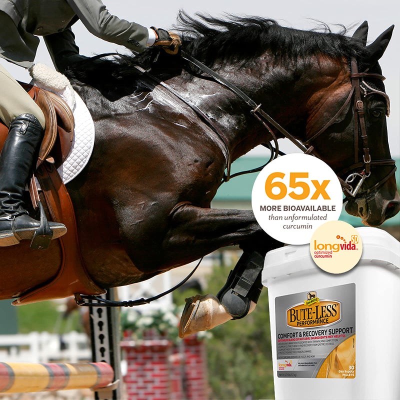Absorbine Bute-Less Performance Advanced Formula Horse Supplement Pellets, Supports Healthy Inflammatory Response & GI Tract, 3.75lb Tub / 30 Day Supply - Image 5