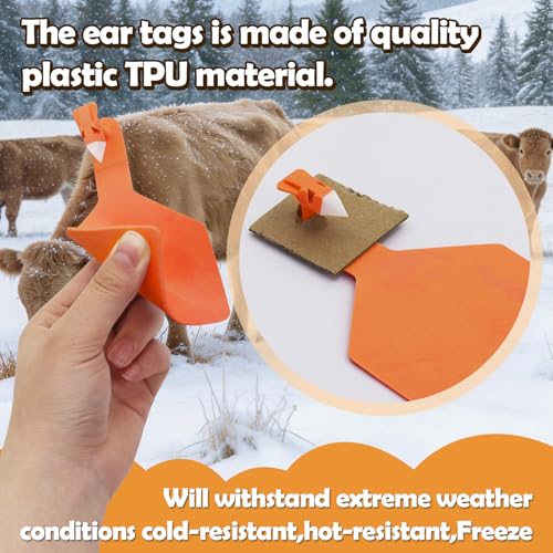 APlayfulBee 50Pcs Z Tags One-Piece Cattle Ear Tags TPU Blank Livestock Animal Identification for Cattle,Sheep Goat, Pig, Large Size (Orange) - Image 3