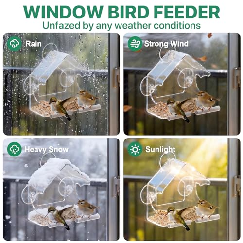 BTFSZ Clear Bird Feeder for Window Acrylic, Window Bird Feeders with Strong Suction Cups, Suction Cup Bird Feeder for Garden, Yard, Elderly Kids Viewing Wild Birds Outside, as a Bird Watching Gift - Image 5