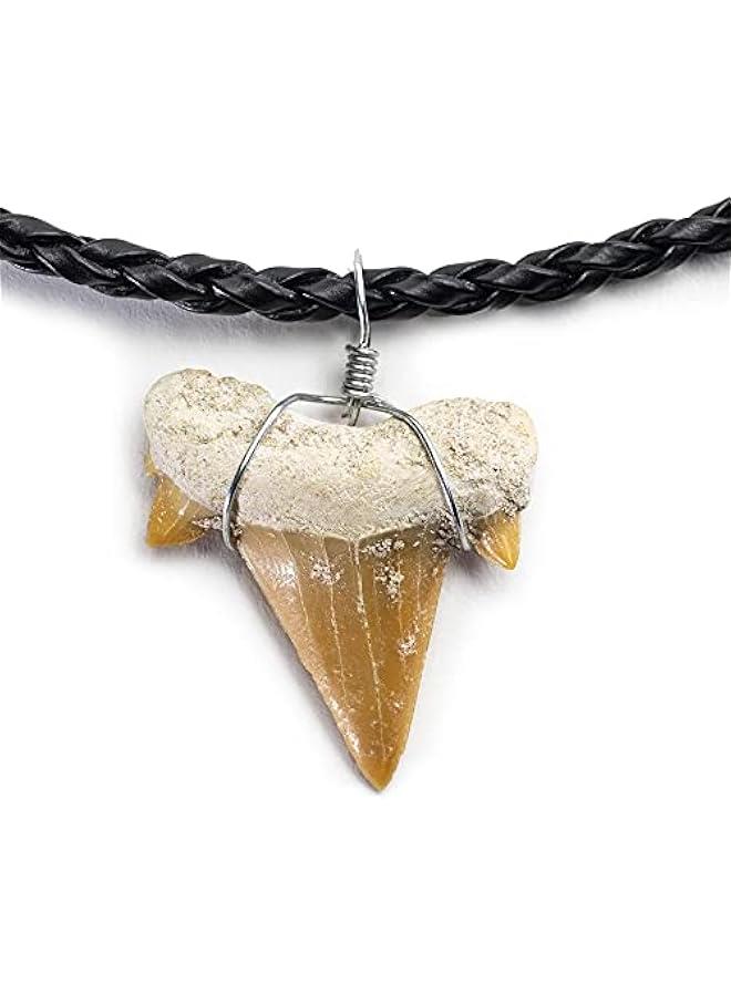 Arabest Fossilized Shark Tooth Necklace - Authentic Prehistoric Shark Teeth Fossil Pendant on 18 Inch Braided Leather Cord - Great Gift for Men and Boys (Information Card Included) - Image 1