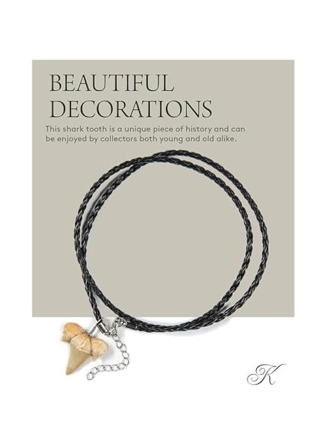Arabest Fossilized Shark Tooth Necklace - Authentic Prehistoric Shark Teeth Fossil Pendant on 18 Inch Braided Leather Cord - Great Gift for Men and Boys (Information Card Included) - Image 2