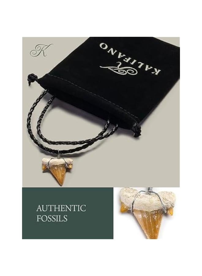 Arabest Fossilized Shark Tooth Necklace - Authentic Prehistoric Shark Teeth Fossil Pendant on 18 Inch Braided Leather Cord - Great Gift for Men and Boys (Information Card Included) - Image 3