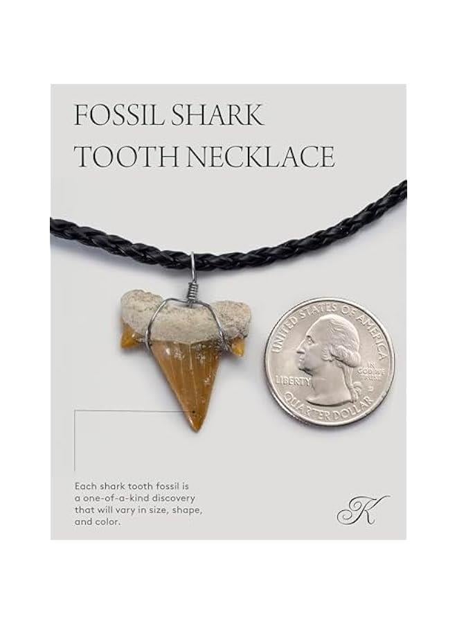 Arabest Fossilized Shark Tooth Necklace - Authentic Prehistoric Shark Teeth Fossil Pendant on 18 Inch Braided Leather Cord - Great Gift for Men and Boys (Information Card Included) - Image 4