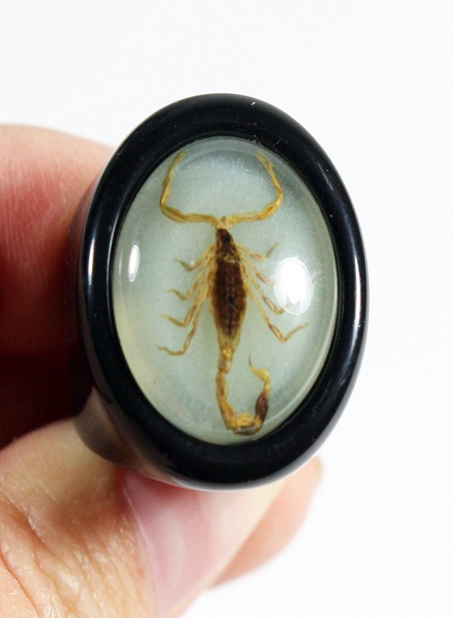 REALBUG Golden Scorpion Black Ring Size 6 - Image 2