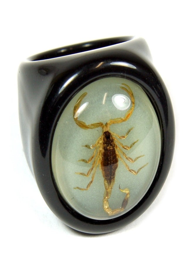 REALBUG Golden Scorpion Black Ring Size 6 - Image 1