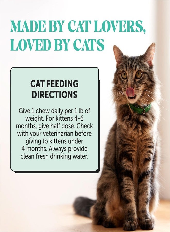Pet Honesty Fresh Dental Bites for Cats - Crunchy & Creamy Cat Dental Treats for Fresh Breath, Plaque + Tartar Control, Cleans Teeth + Gums, Daily Cat Oral Care (30 Day Supply) - Image 5