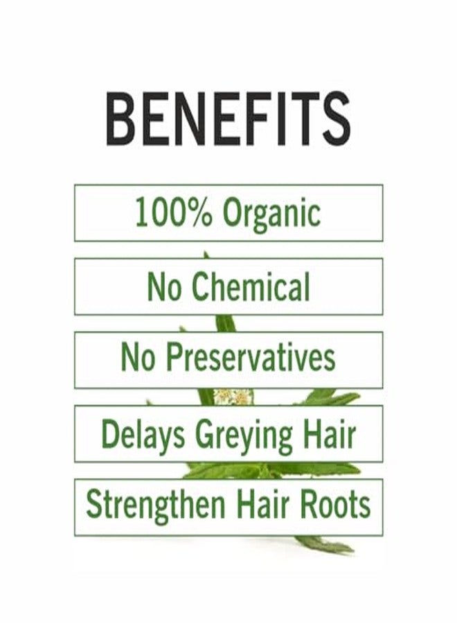 TQS Organic Bhringraj Powder for Scalp and Dandruff Care, 100% Natural, 100g - Image 4