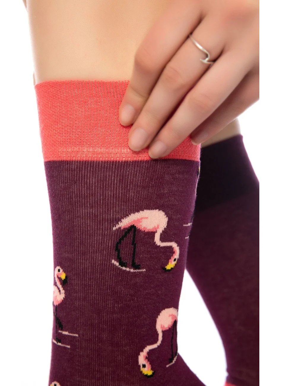 دايكو Unisex Claret Red Flamingo Colored Socks