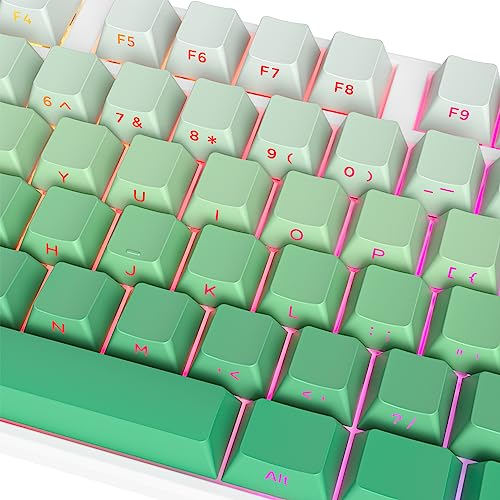 Owpkeenthy Side-Printed PBT Keycaps, Double Shot Shine Through Custom Cherry Profile Green 135 Keys Gradient Keycap Set, for 60% 65% 75% 100% MX Switches South-Facing Mechanical Keyboard(Bedew) - Image 3