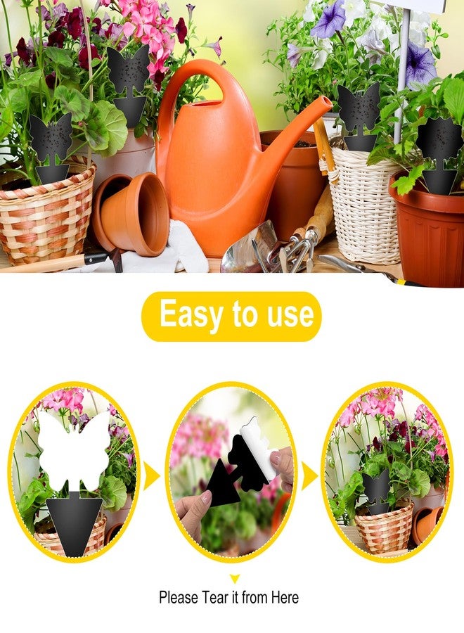 Boromine Fruit Fly Traps, 60 Pack Black Stick Traps, Fungus Gnat Traps, Plant Fly Stickers for Indoor and Outdoor Use Protect The Plant - Image 3