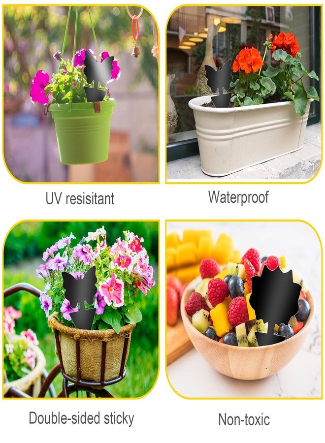 Boromine Fruit Fly Traps, 60 Pack Black Stick Traps, Fungus Gnat Traps, Plant Fly Stickers for Indoor and Outdoor Use Protect The Plant - Image 5