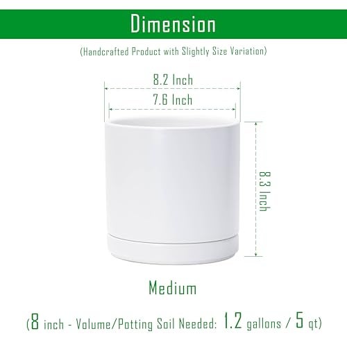 D'vine Dev 8.2 Inch Ceramic Planter Pot with Drainage Hole and Saucer, Indoor Cylinder Round Planter Pot, White, 94-O-D-1 - Image 3