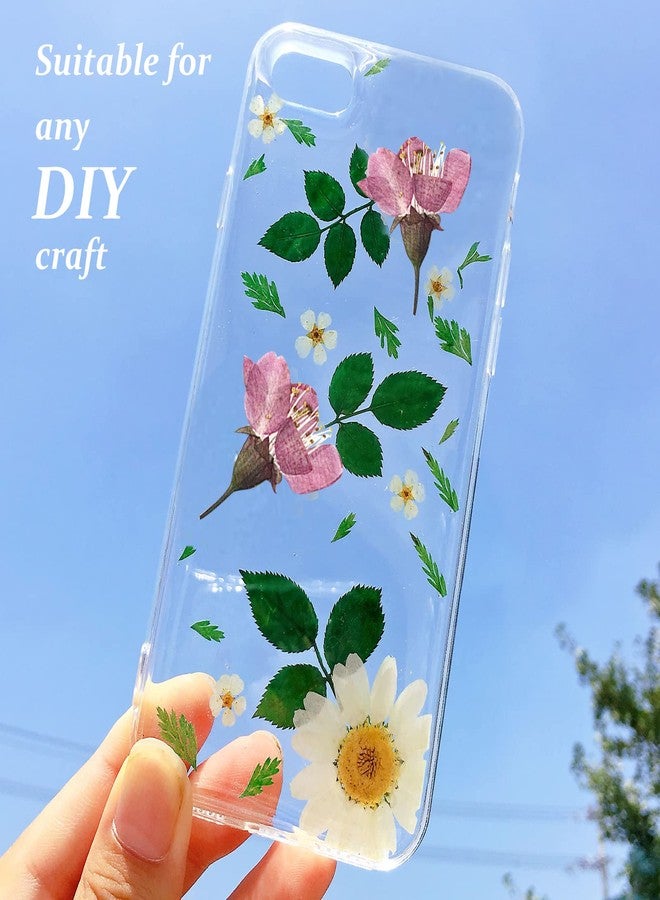 GSZN أزهار الكرز المجففة والمضغوطة، 60 قطعة من الزهور الوردية الطبيعية المجففة لصنع الزينة والشموع من الراتنج، لون طبيعي - Image 5